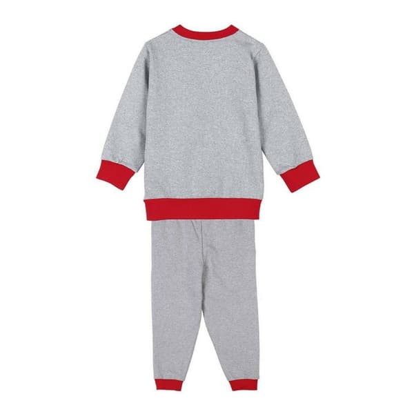 Lasten verkkapuku Minnie Mouse Harmaa - 4 vuotta