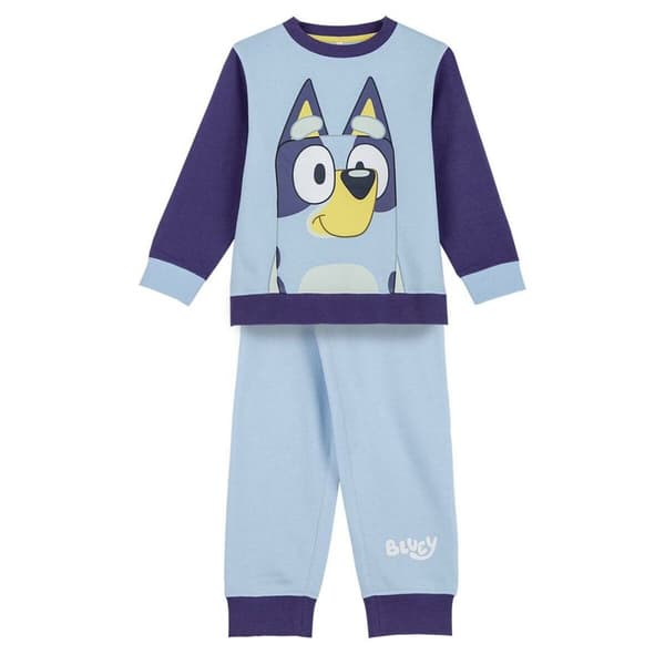 Lasten verkkapuku Bluey Sininen - 4 vuotta