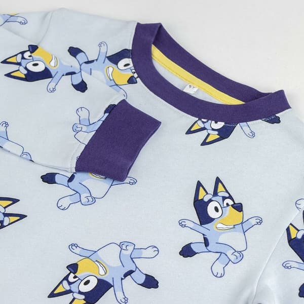 Lasten verkkapuku Bluey Sininen - 4 vuotta