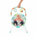 Miniatyrbillede 5 af 5: Baby Hammock Bright Starts Rainforest