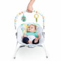 Miniatyrbild 2 av 3: Baby Hammock Bright Starts Safari Fun