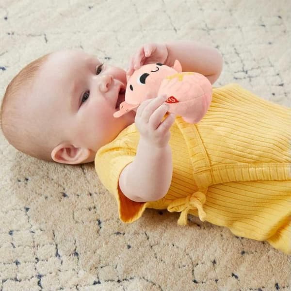 Sensorisk presentförpackning - Fisher Price - Stimulera alla sinnen - 4 leksaker - BPA-fri