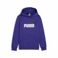 Miniatyrbild 1 av 6: Tröja med huva Unisex Puma Essentials+ 2 Col Big Logo Blå - 11-12 år