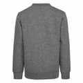 Miniatyrbilde 2 av 3: Sweaters uten Hette til Barn Nike Grå - 3 År