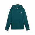 Miniatyrbillede 1 af 2: Hættetrøje til Børn Puma Essentials - 11-12 år