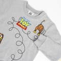 Miniatyrbild 3 av 3: Tröja utan huva Barn Toy Story Grå - 7 år