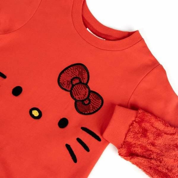 Unisex huputon collegepaita Hello Kitty Punainen - 4 vuotta
