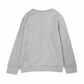 Miniatyrbillede 2 af 3: Sweaters uden Hætte til Børn Toy Story Grå - 6 år