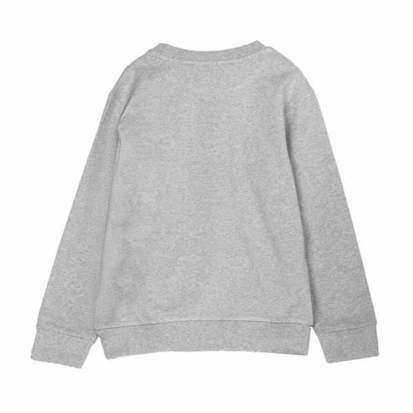 Sweaters uden Hætte til Børn Toy Story Grå - 6 år