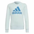 Miniatyrbild 1 av 11: Tröja utan luva, Flickor Adidas Essentials Ljusblå - 9-10 år