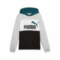 Miniatyrbild 1 av 3: Tröja med huva Unisex Puma Essentials Block - 13-14 år