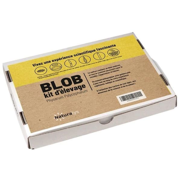 Uppfödningskit - Naturalys - Blob Physarum polycephalum - 2 petriskålar - Pedagogisk manual - 0,20 kg