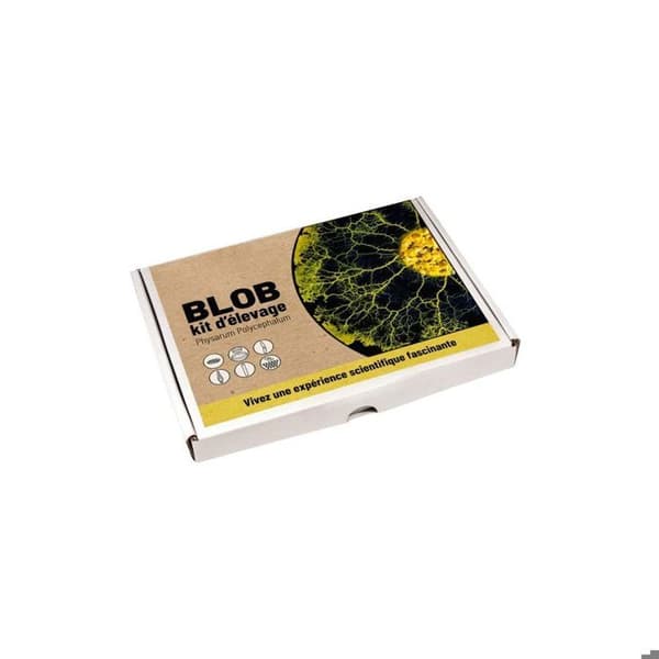 Uppfödningskit - Naturalys - Blob Physarum polycephalum - 2 petriskålar - Pedagogisk manual - 0,20 kg