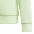 Miniatyrbillede 5 af 6: Sweaters uden Hætte Adidas Essentials Grøn - 9-10 år