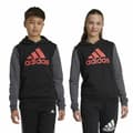 Pikkukuva 4 / 7: Tyttöjen hupullinen pusero Adidas Essentials Harmaa - 13-14 vuotta