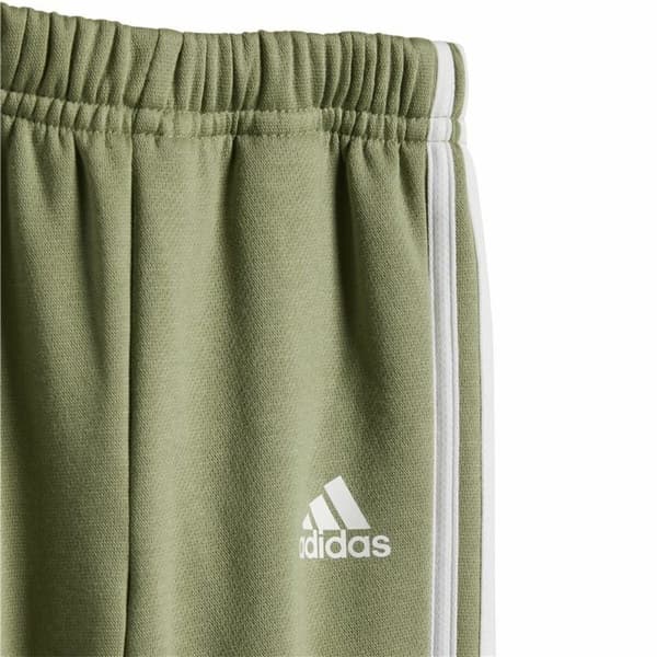Träningskläder, Baby Adidas Essentials Grön Grå - 9-12 månader