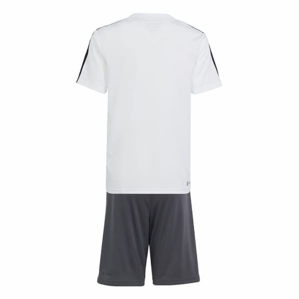 Sportstøj til Børn Adidas Essentials Hvid Sort - 15-16 år