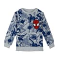 Miniatyrbillede 1 af 5: Sweaters uden Hætte til Børn Spider-Man Grå - 7 år