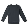 Miniatyrbillede 3 af 5: Sweaters uden Hætte til Børn The Lion King Mørkegrå - 4 år