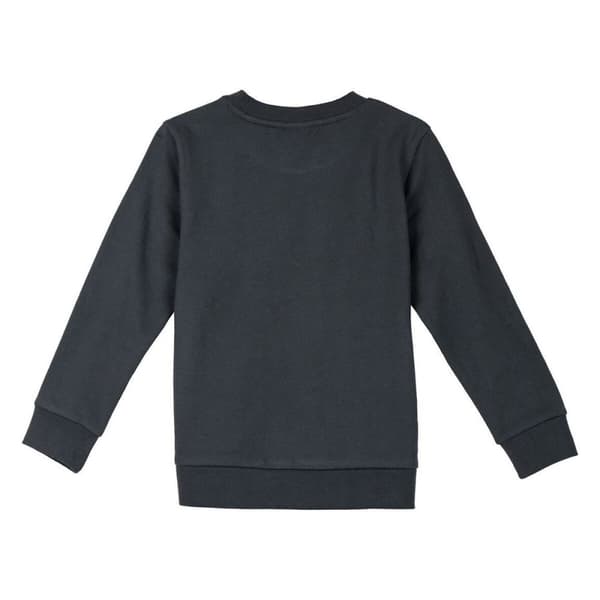 Sweaters uden Hætte til Børn The Lion King Mørkegrå - 4 år