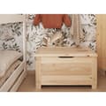 Miniatyrbild 4 av 5: Chest Astigarraga Brown Pinewood (70 x 48 x 40 cm)