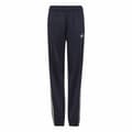 Pikkukuva 4 / 9: Lasten verkkapuku Adidas Essentials Punainen Sininen - 15-16 vuotta