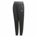 Pikkukuva 3 / 11: Lasten verkkahousut Adidas  Nemeziz Tumman harmaa - 4-5 vuotta