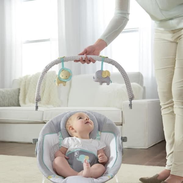 INGENUITY Morrison Baby Bouncer - Kaari irrotettavilla kehitysleluilla, 8 melodiaa, rauhoittavat värinät, irrotettava ja säädettävä niskatuki