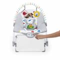 Miniatyrbild 2 av 6: BABY EINSTEIN -DEAN- 3-i-1-utvecklande babygunga, melodier och vibrationer, 3 positioner, avtagbar leksaksbåge, 0-30 månader