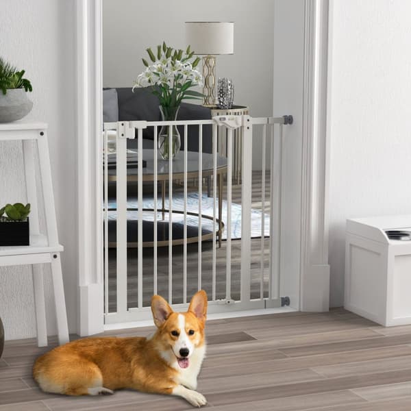 Rootz Pet Door Gate Barrier - Dog Fence - Pet Divider - Säkerställer säkerhet - 68W x 77H cm (max 87 cm) - vit