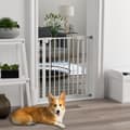 Miniatyrbild 2 av 11: Rootz Dog Door Gate Barrier - Pet Gate - Safety Gate - Metal & Plast, Easy Access, 68W x 77H CM, White