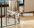 Pikkukuva 5 / 11: Rootz Dog Aida - PET -kotelo - Taitava kennel - Vahva teräs - 80 cm x 1,5 cm x 60 cm