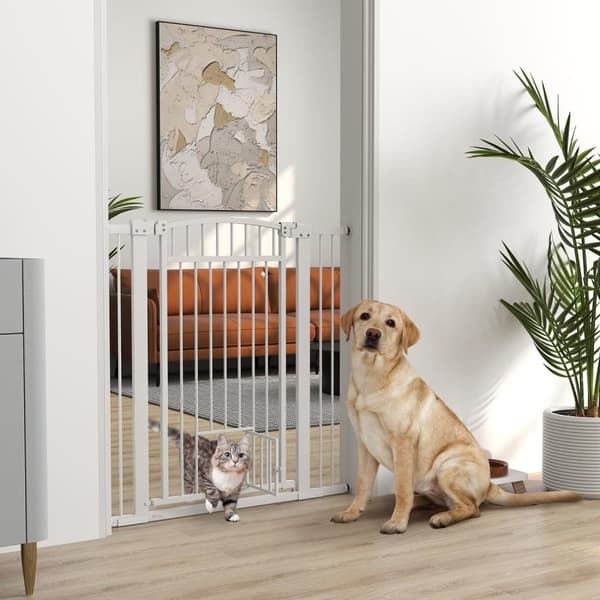 Rootz Pet Protection Hence - Pet Barrier - Safety Gate - Holdable Steel - Justerbar bredde 76-104 cm med kattedør, hvid