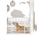Miniatyrbild 1 av 4: Säkerhetsbarriär, Justerbar Design, Hållbar Konstruktion
