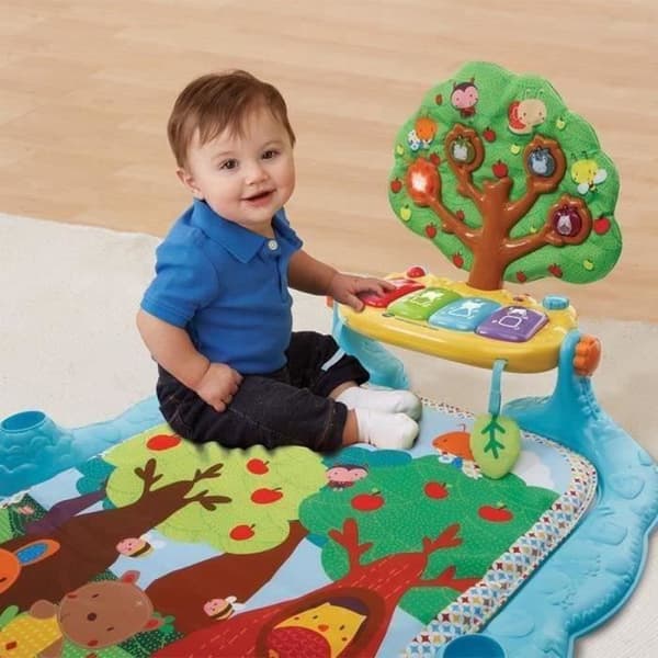 VTECH BABY - Enchanted Garden of the Little Friends