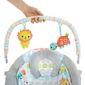 Miniatyrbild 2 av 4: BRIGHT STARTS Bouncer Whimsical Wild - Flerfärgad