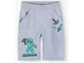 Pikkukuva 1 / 2: Minecraft Shorts för Barn