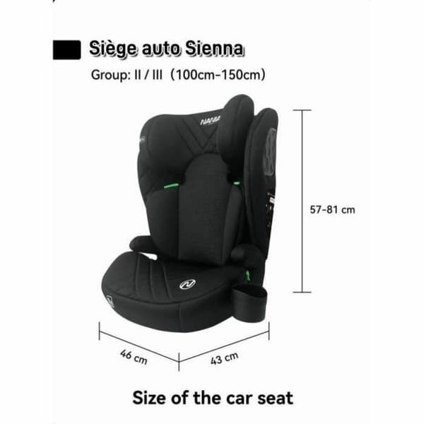 Car Chair Nania
