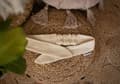 Miniatyrbillede 3 af 5: Muslin pandebånd lys beige