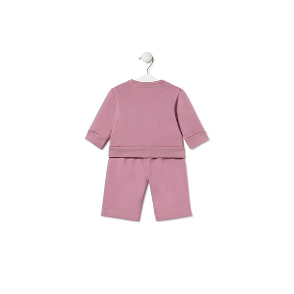 Tous Trend Set  12 Months