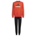 Miniatyrbild 3 av 8: Adidas Essentials Big Logo Fleece Jogger Set Orange 15-16 Years Pojke
