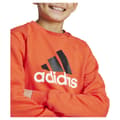 Miniatyrbild 8 av 8: Adidas Essentials Big Logo Fleece Jogger Set Orange 15-16 Years Pojke