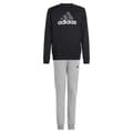 Miniatyrbild 3 av 6: Adidas Essentials Big Logo Fleece Jogger Set Svart,Grå 15-16 Years Pojke