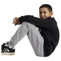 Miniatyrbild 6 av 6: Adidas Essentials Big Logo Fleece Jogger Set Svart,Grå 15-16 Years Pojke