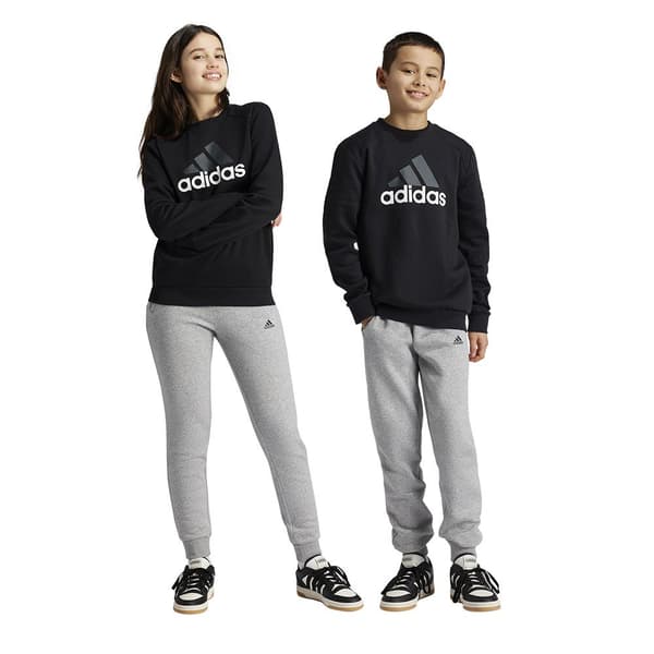 Adidas Essentials Big Logo Fleece Jogger Set Svart,Grå 15-16 Years Pojke