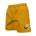 Miniatyrbillede 1 af 3: Nike Swim 4´´ Volley Badeshorts Orange 14 Years Dreng