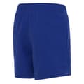 Miniatyrbillede 2 af 2: Nike Swim Essential 4´´ Volley Badeshorts Blå 10-11 Years Dreng