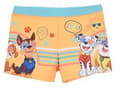 Miniatyrbilde 1 av 2: Paw Patrol Badshorts för Barn - Badbyxor