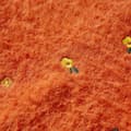 Miniatyrbild 5 av 8: Stickad tröja för barn orange 104 -  Toppar för barn