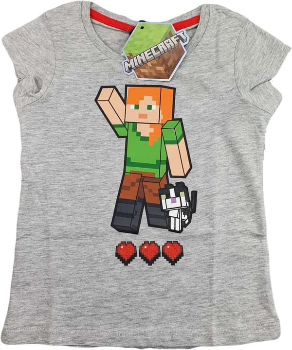Minecraft Linne